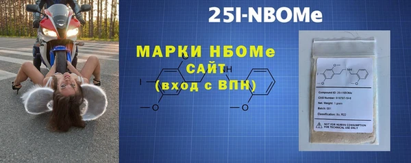 дмт Бородино