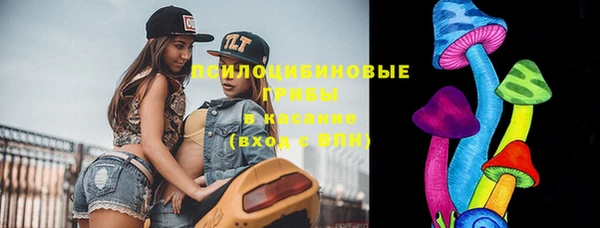 твердый Бронницы