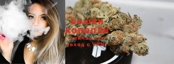 твердый Бронницы