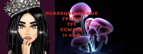 твердый Бронницы