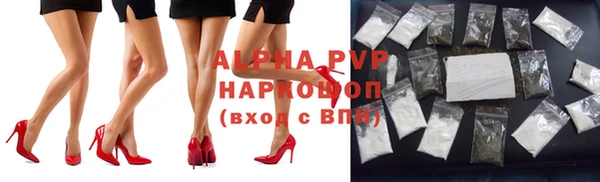 дмт Бородино