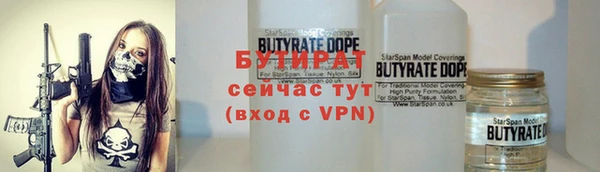 дмт Бородино