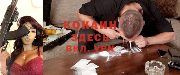 твердый Богданович