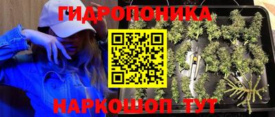 таблы Пенза